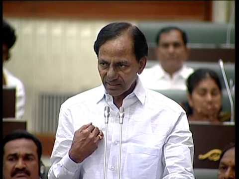 statebudgetwillstrengthenruraleconomy:kchandrashekharrao